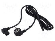 Cable; 3x1mm2; PVC; 3m; black; 10A; 250V POS