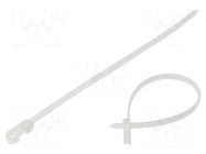 Cable tie; with fixing lugs; L: 200mm; W: 4.6mm; natural; polyamide TIE10