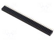 Connector: pin strips; socket; female; PIN: 72; BL 2; 3A; 125V; THT FISCHER ELEKTRONIK