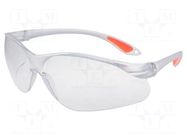 Safety spectacles; Lens: transparent AVIT