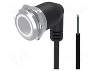 Switch: vandal resistant; Pos: 2; SPDT; 0.6A/35VAC; 600mA/35VDC EAO
