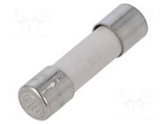 Fuse: fuse; 10A; 250VAC; time-lag; ceramic,cylindrical; brass SIBA
