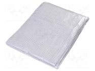 Tarpaulin; L: 3m; Width: 2m; polyetylene; transparent; 100g/m2; 6m2 PLAST