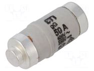 Fuse: fuse; 50A; 400VAC; 250V; gG,gL; industrial; D02 