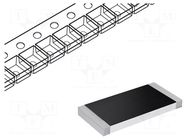 Varistor: zinc-oxide; SMD; 30VAC; 100V PANASONIC