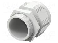 Cable gland; without nut; M40; 1.5; IP68; polyamide; light grey TE Connectivity