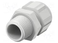 Cable gland; without nut; NPT1/2"; IP68; polyamide; light grey TE Connectivity