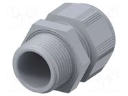 Cable gland; without nut; NPT3/4"; IP68; polyamide; grey; Entrelec TE Connectivity