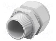 Cable gland; without nut; NPT1"; IP68; polyamide; light grey TE Connectivity