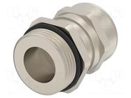 Cable gland; without nut; M25; IP68; brass; Entrelec TE Connectivity