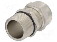 Cable gland; without nut; NPT1/2"; IP68; brass; Entrelec TE Connectivity