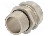 Cable gland; without nut; NPT1 1/2"; IP68; brass; Entrelec TE Connectivity