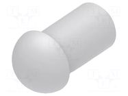 Stopper; polyamide; light grey; Entrelec; Ø: 8mm; Size: 11; L: 13.7mm TE Connectivity