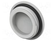 Stopper; M25; 1.5; IP68; polyamide; light grey; Entrelec; 6mm TE Connectivity