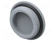 Stopper; M25; 1.5; IP68; polyamide; grey; Entrelec; Thread: metric TE Connectivity