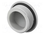 Stopper; M25; 1.5; IP68; polyamide; light grey; Entrelec; 10mm TE Connectivity