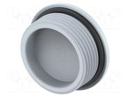 Stopper; PG21; IP68; polyamide; grey; Entrelec; Thread: PG; 10mm TE Connectivity