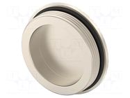 Stopper; PG36; IP68; brass; Plating: nickel; Entrelec; Thread: PG TE Connectivity