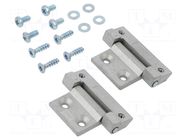 Hinge; cast zinc; for enclosures; AE RITTAL