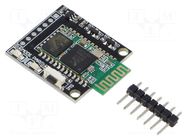 Bluetooth module KAMAMI