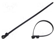 Cable tie; with fixing lugs; L: 200mm; W: 4.6mm; black; polyamide TIE10