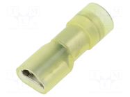 Terminal: flat; 6.3mm; 0.8mm; female; 0.5÷1mm2; crimped; for cable VOGT