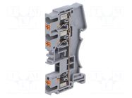 Splice terminal: rail; DS; for DIN rail mounting; spring clamp DEGSON ELECTRONICS