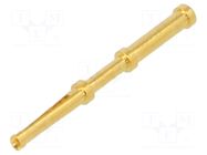 Contact; female; 0.6mm; gold-plated; 0.06÷0.25mm2; crimped LAPP