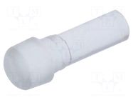Fiber for LED; Ø2.2mm; L: 4.5mm; round; Front: flat; straight; IP68 MENTOR
