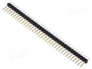 Connector: pin strips; pin header; male; PIN: 36; THT; 3A; 250V; 1x36 FISCHER ELEKTRONIK