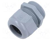 Cable gland; PG29; polyamide; grey ILME
