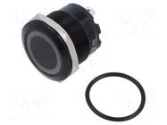 Switch: vandal resistant; Pos: 2; SPST; 20A/250VAC; IP67; OFF-(ON) E-SWITCH