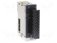 Module: extension; IN 1: -10÷+10V,0÷10V,0÷5V,1÷5V,4÷20mA; CJ OMRON