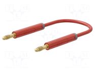 Test lead; 60VDC; 30VAC; 19A; banana plug 4mm,both sides; red STÄUBLI