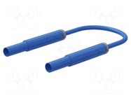 Test lead; 32A; banana plug 4mm,both sides; insulated; Len: 2m STÄUBLI