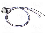 Connector: M12; socket; female; 4A; 250V; PIN: 4; IP67; straight LUTRONIC