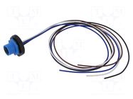 Connector: M12; socket; female; 4A; 250V; PIN: 4; IP67; straight LUTRONIC