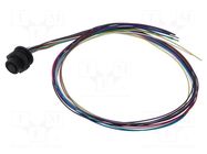 Connector: M12; socket; female; 1.5A; 30V; PIN: 12; IP67; straight LUTRONIC