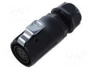 Connector: circular; plug; female; 02; 5A; 250V; PIN: 5; IP67; plastic LUTRONIC
