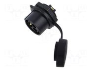 Connector: circular; socket; male; 02; 20A; 500V; PIN: 3; IP67 LUTRONIC