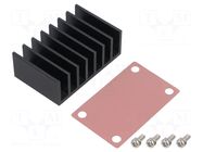 Heatsink CINCON