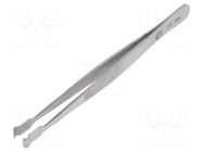 Tweezers PIERGIACOMI