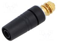 Connector: 4mm banana; socket; 32A; 1kV; black; gold-plated; 42mm HIRSCHMANN T&M