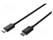 Cable; USB 2.0; USB C plug,both sides; 2m; black; Core: Cu,tinned NATEC