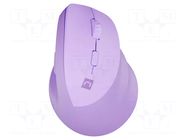 Mouse; violet; USB A; wireless,optical; No.of butt: 6; 10m NATEC