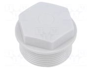 Stopper; M32; 1.5; IP54; polyamide; grey; SKINDICHT®; Thread: metric LAPP