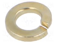 Washer TE Connectivity