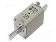 Fuse: fuse; 125A; 500VAC; gG; industrial; NH1 NIKDIM LTD