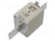 Fuse: fuse; 315A; 500VAC; gG; industrial; NH2 NIKDIM LTD