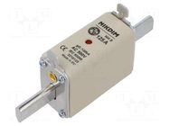 Fuse: fuse; 125A; 500VAC; gG; industrial; NH0 NIKDIM LTD